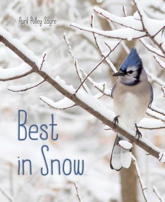 Best in Snow<br>April Pulley Sayre